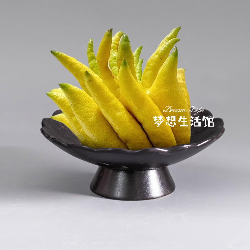 佛手柑托盘器皿养佛手柑的花瓶摆放盘花器专用摆放瓶花盆禅意风