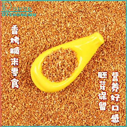 笃特宠物黑濑同款香烤糙米零食