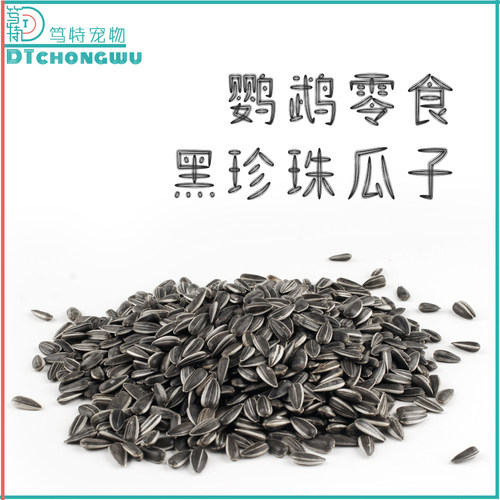 笃特宠物黑珍珠油葵瓜子鹦鹉零食
