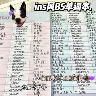 ins风B5英语单词本小红书同款 简约清新计划拍纸本 公主请下单