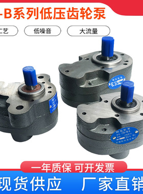 液压油泵齿轮泵CB-B10/B4/B6/B16/B20/B25/B50/B63/B80/100低压泵