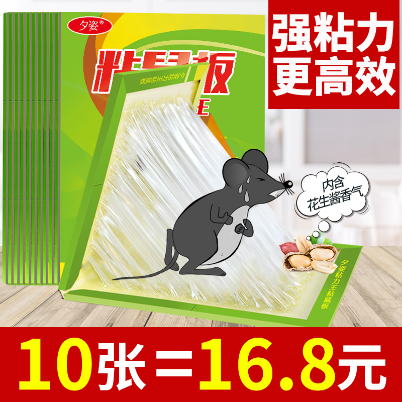 超强力大号粘鼠板粘贴加大型家用