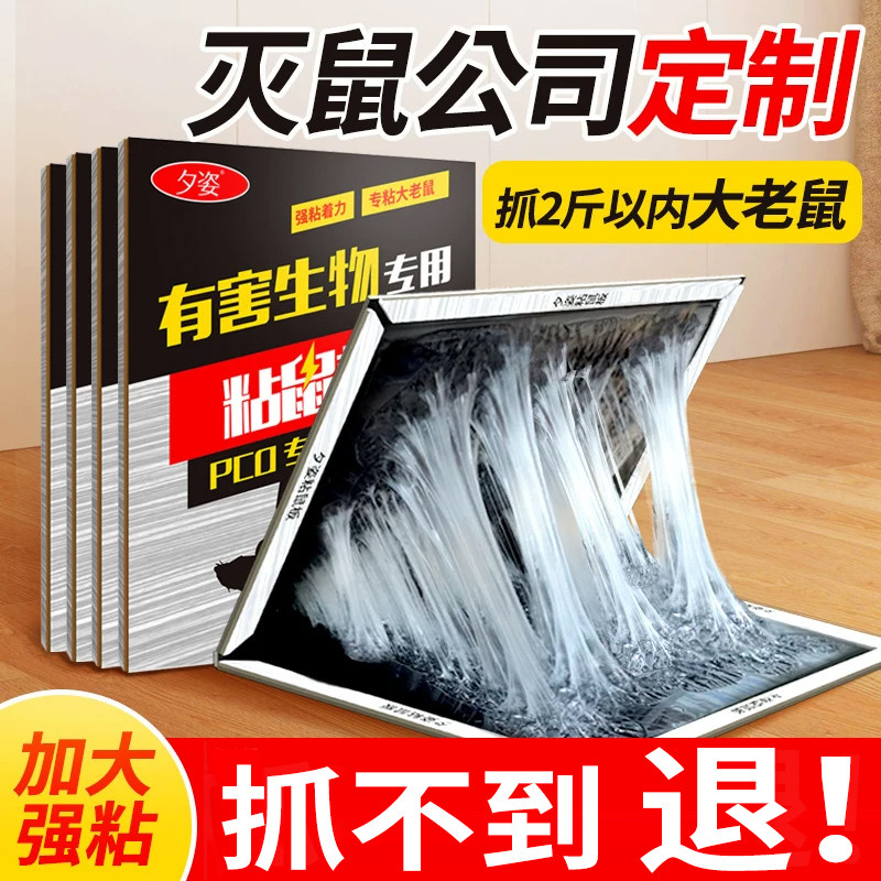 加大粘鼠板超强力粘鼠贴粘大老鼠抓捕引诱鼠笼老鼠夹家用捕鼠神器
