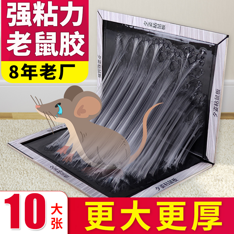 老鼠贴强力粘鼠板正品家用超强