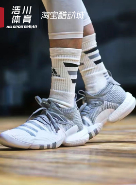 Adidas Trae Young 2.0 特雷杨2代 篮球鞋 H03842 H06473 H06479