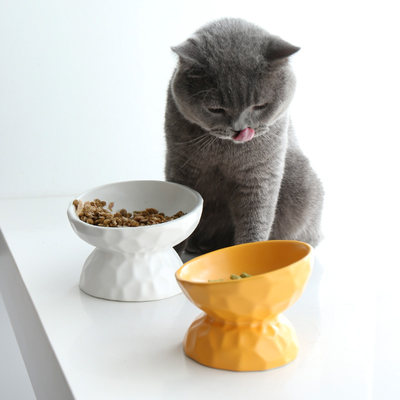 猫碗陶瓷碗保护颈椎高脚斜口水碗