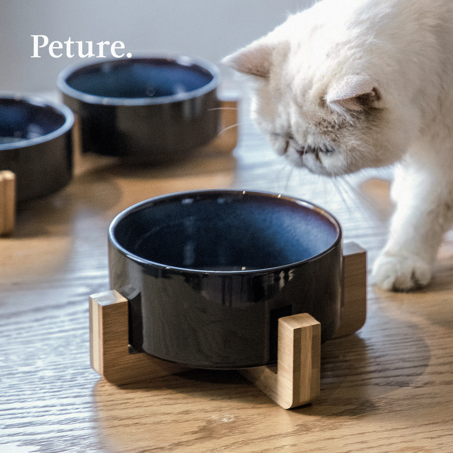 Peture陶瓷猫碗窑变星空纹理