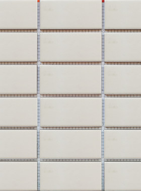45×95mm外墙砖彩码砖亮光白色