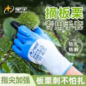 星宇摘板栗专用劳保手套防扎防刺透气工作耐磨剥板栗削菠萝皮专用
