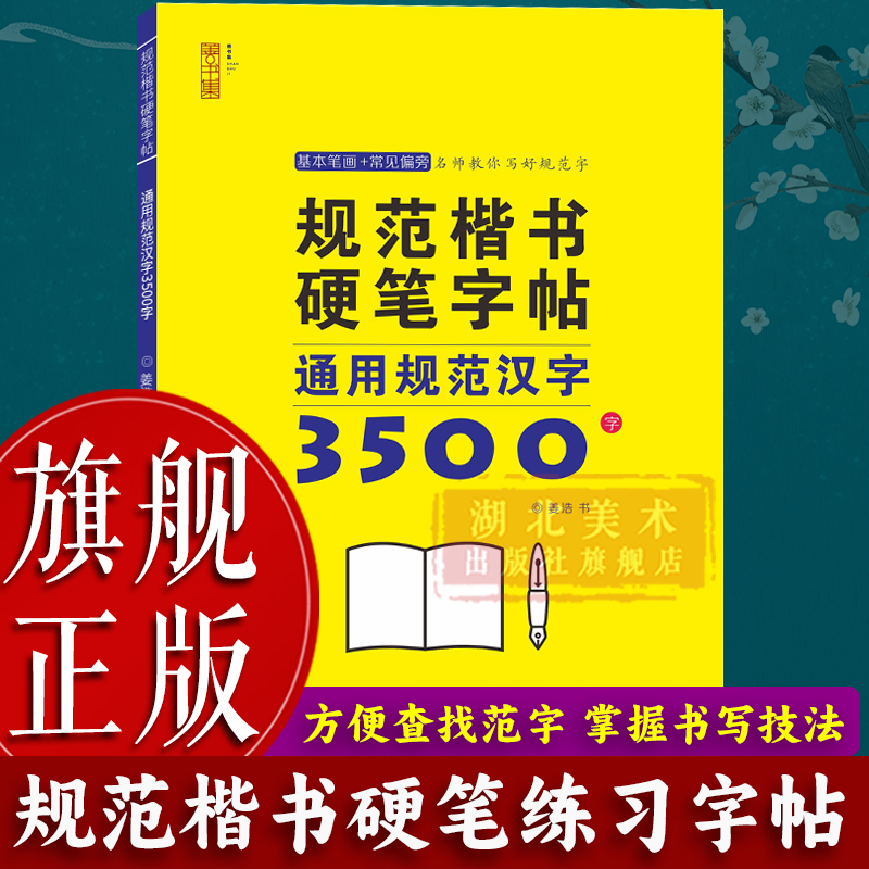【旗舰正版】规范楷书硬笔字帖：通用规范汉字3500字 成人学生练字帖灰色描临字帖 钢笔书法练字帖楷书基础练习字帖读写图书籍