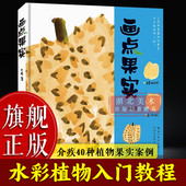 介疾40种植物果实案例水彩绘画技法教程 画点果实 成人初学者零基础水彩画植物技法临摹画集画册果实叶子种子花卉书籍 旗舰正版