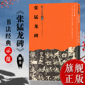旗舰正版 张猛龙碑 书法经典 示范 楷书成人初学者毛笔书法入门字帖技法讲解基础结构布势笔画章法步骤示范教程原碑帖临摹本书籍