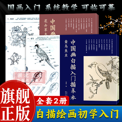 湖北美术中国画白描初学者入门