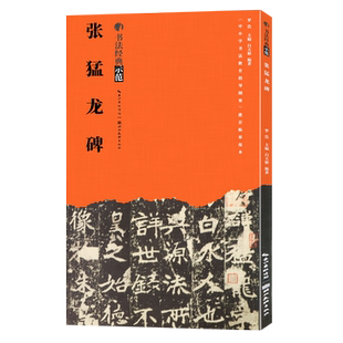 【旗舰正版】张猛龙碑 书法经典示范 楷书成人初学者毛笔书法入门字帖技法讲解基础结构布势笔画章法步骤示范教程原碑帖临摹本书籍