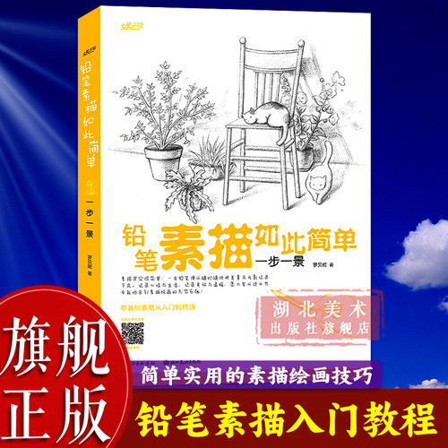 湖北美术铅笔素描零基础