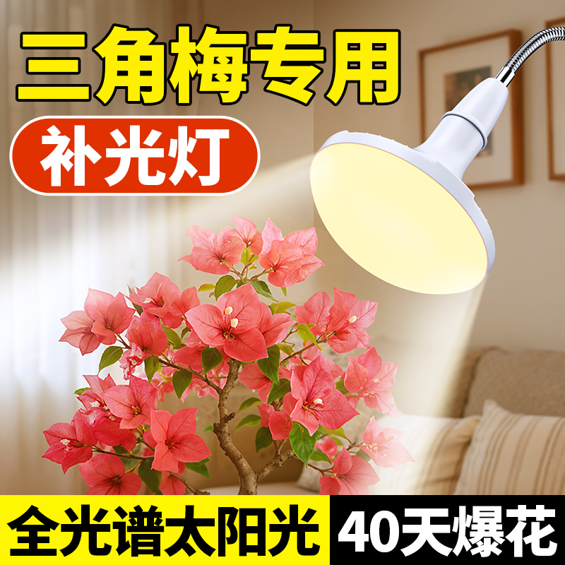 三角梅专用补光灯全光谱植物生长灯室内模拟太阳光灯LED光合作用