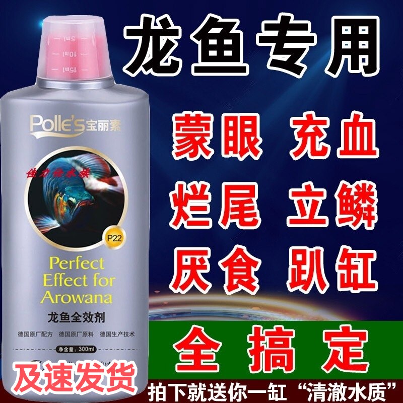 杀菌万能药宝丽素龙鱼专用药