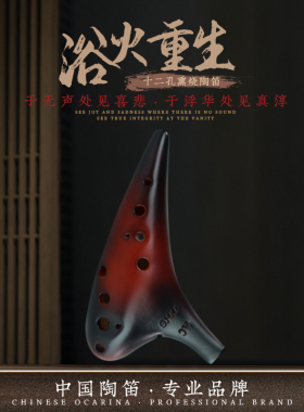 tng陶笛乐器12孔ac专业陶笛十二孔陶笛初学者小学生教程送/熏烧