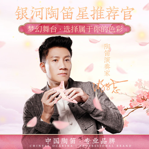 专业演奏乐器12孔陶笛TNG银河