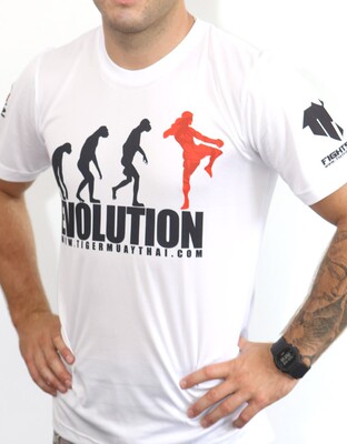 泰国肌肉健身运动综合格斗拳击