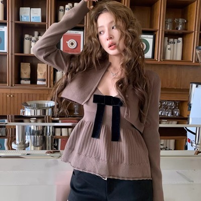 2025秋季新款百搭针织衫两件套