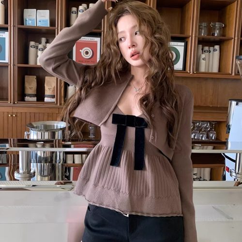 2025秋季新款百搭针织衫两件套