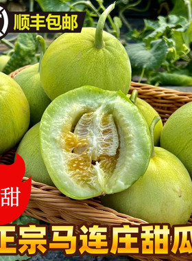 青岛马连庄甜瓜新鲜当季孕妇水果新鲜现摘莱西甜宝小香瓜顺丰包邮