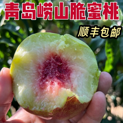 当季顺丰包邮青岛寒露蜜桃脆甜