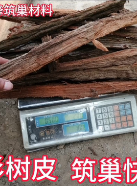 胡蜂筑巢材料杉树皮黄脚马蜂红娘养殖专用红桉树皮朽木很厚5斤