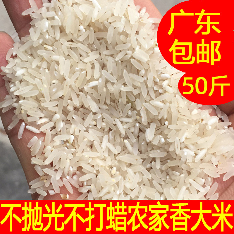 广东原生态农家大米不抛光50斤自种散装优质2023新米长粒香丝苗米