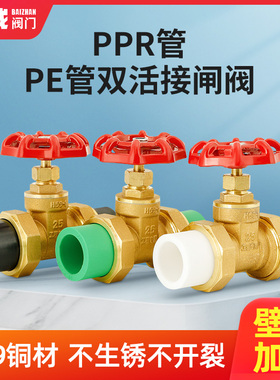 全铜闸阀ppr管PE管自来水管阀门开关4分20管6分25双活接1寸32热熔
