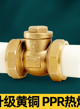 止回阀ppr热熔活接卧式止水阀32逆止阀25单向阀水管水表配件dn20