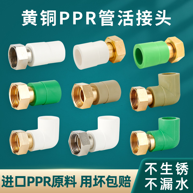 ppr活接头4分6分PPR管内丝接头热水器20热水管25管32热熔水管配件 基础建材 PPR管 原图主图