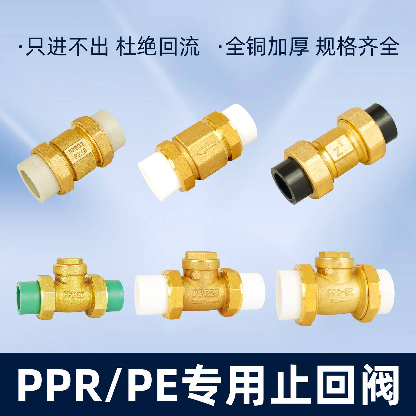 PPR专用止回阀4分20立卧式PE热熔