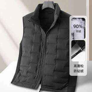 商场品牌男式羽绒服2025秋冬90鸭绒保暖立领拉链版羽绒马甲青年无