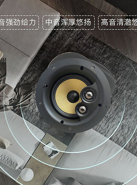 HOPE/向往 HS800家庭背景音乐同轴定阻吸顶音箱音响天花吊顶喇叭