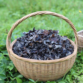 山珍四川纯野生黑木耳干货软嫩无硫孕期儿童炒菜凉菜非东北小碗耳