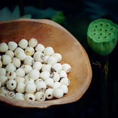 农家自产无芯莲子四川磨皮白莲子干货大颗新鲜粉糯莲子百合银耳羹