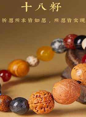 五彩十八籽串多宝菩提子木质文玩杭州十八子手串18子手链