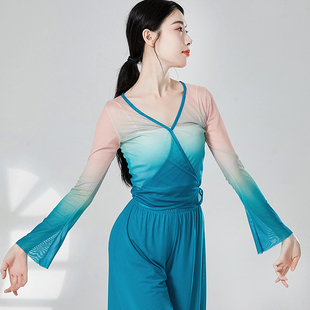 古典舞纱衣中国舞蹈练功服装 身韵渐变民族艺考形体服表演上衣女夏