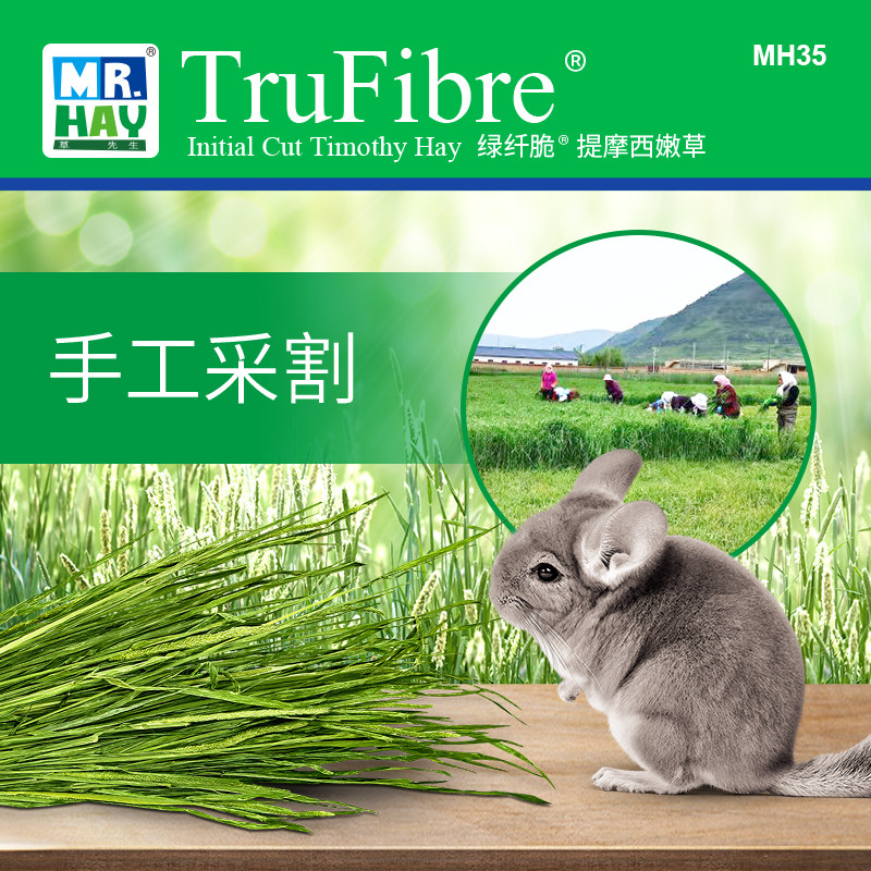 草先生提摩西嫩草兔兔干草兔子龙猫天竺鼠磨牙