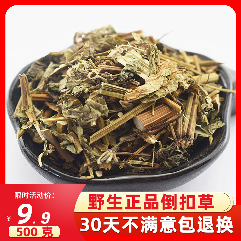 倒扣草中药材新鲜倒扣草野生倒扣草土牛七倒钩草500g牛膝草牛膝头