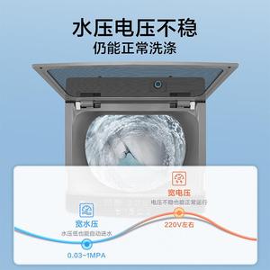 小.天鹅波轮12kg大容量全自动变频波轮洗衣机TB120-1808DB