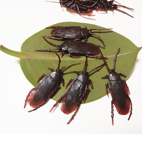 仿真搞怪道具愚人节整蛊虫子