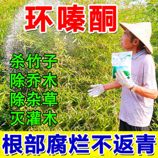 环嗪酮除草烂根剂除灌木灭乔灌环嗪哃烂根杀竹剂烂根除草剂专用药