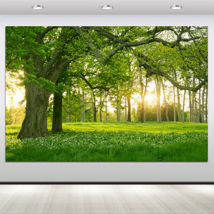 树木森林大自然装饰画绿树成荫绿色大树风景画沙发背景墙贴画F03