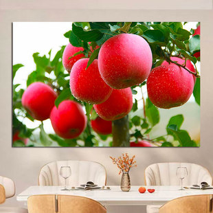 红苹果平平安安苹果树富贵平安果装饰画客厅餐厅海报自粘壁纸贴画