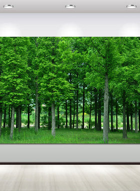 风景挂画绿色大树树林现代简约入户走廊过道玄关装饰画F04