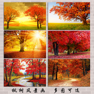 阳光树木森林风景画红枫林秋林树叶装饰画鸿运当头客厅背景墙壁画