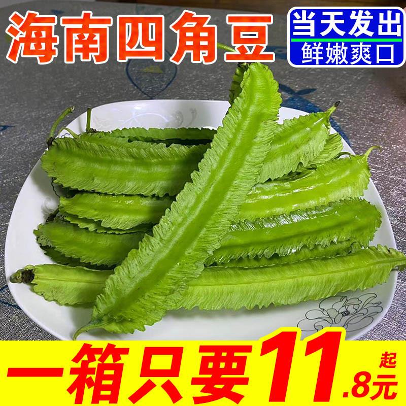 海南豆角四棱豆四角豆龙角豆皇帝豆鲜嫩应季新鲜蔬菜现摘整箱包邮 水产肉类/新鲜蔬果/熟食 新鲜豆类 原图主图